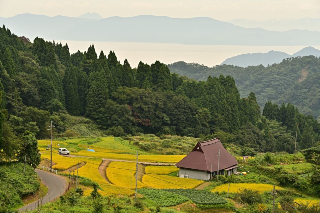 Kamiseya Terraces